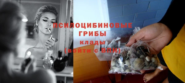 СК Алексин