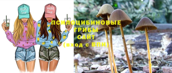 ALPHA PVP Алзамай