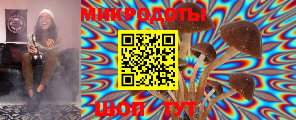 Галлюциногенные грибы ЛСД  Псилоцибиновые грибы мицелий  Вход с VPN  Всеволожск 