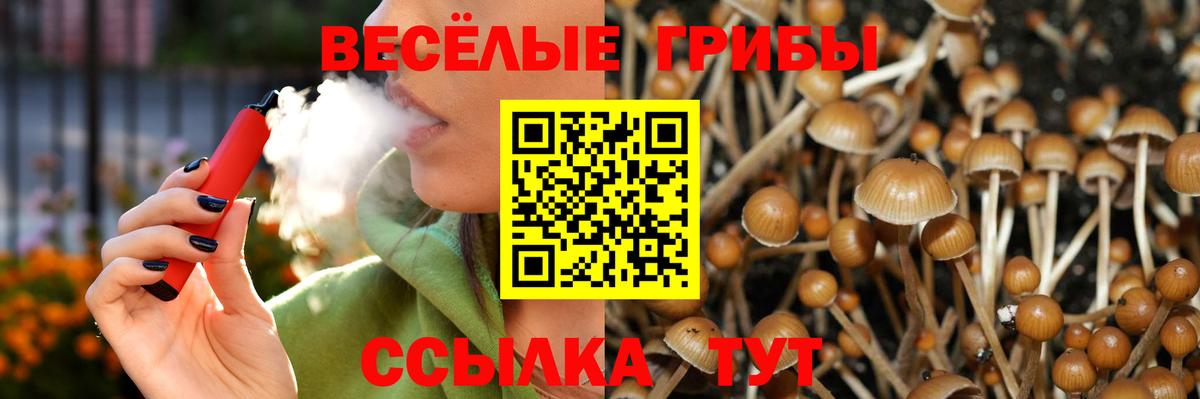 Псилоцибиновые грибы прущие грибы Всеволожск