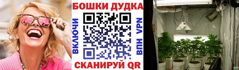 Шишки марихуана план  нарко площадка клад  Всеволожск 